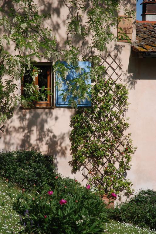 Podere Le Murella Palaia Extérieur photo