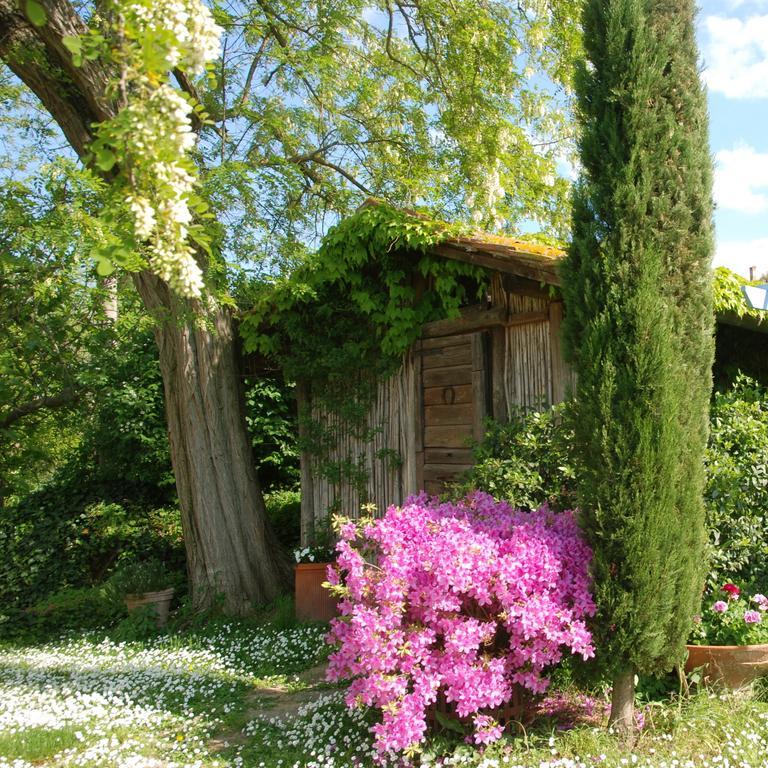 Podere Le Murella Palaia Extérieur photo