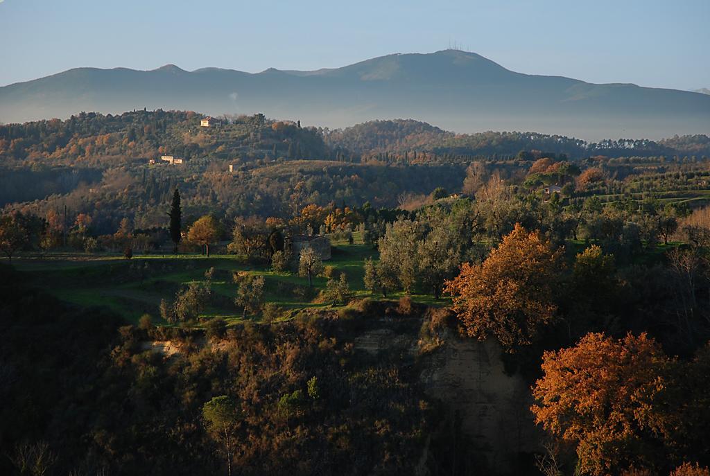Podere Le Murella Palaia Extérieur photo