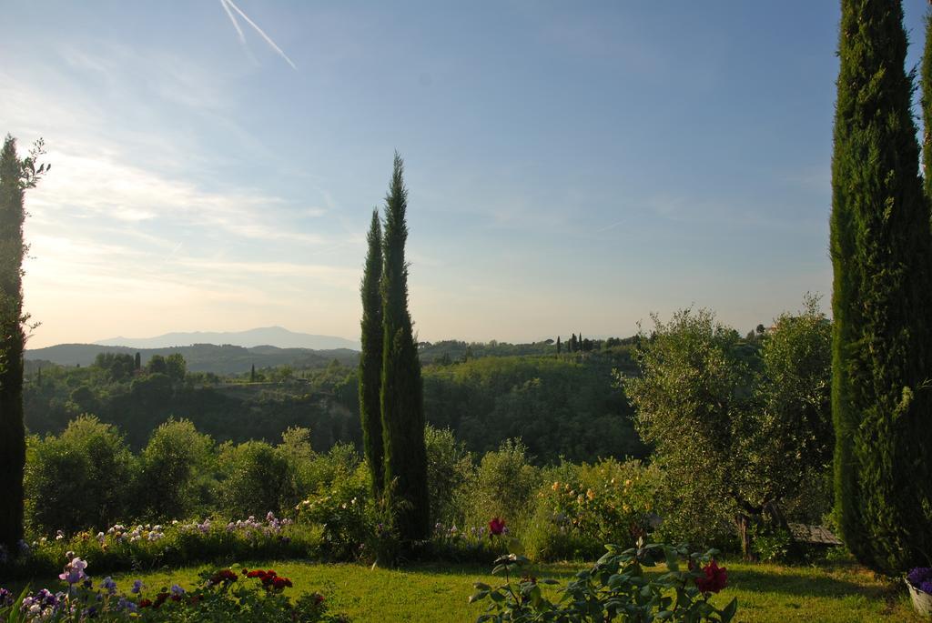 Podere Le Murella Palaia Extérieur photo